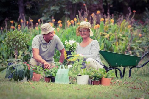 Highgate garden maintenance focusing on lawn mowing and pruning
