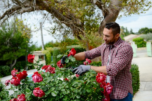 A gardening team using protective equipment during outdoor maintenance