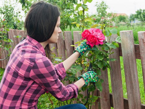 Bank transfer and card payment options for Gardeners Highgate