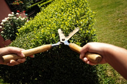 Sectional tree dismantling work in a Highgate garden