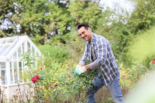 Professional garden upkeep in Highgate for a neat outdoor space