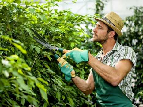 Tools and materials managed safely during routine garden work