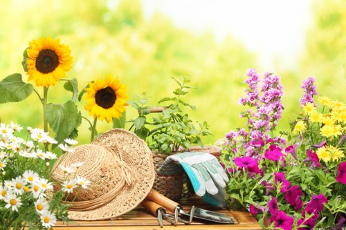 Seasonal garden maintenance by gardeners in Highgate