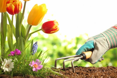 Professional Highgate gardeners caring for borders and lawn