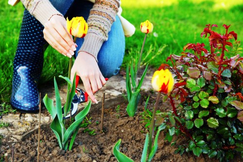 Seasonal garden care in Highgate with hedges and shrubs