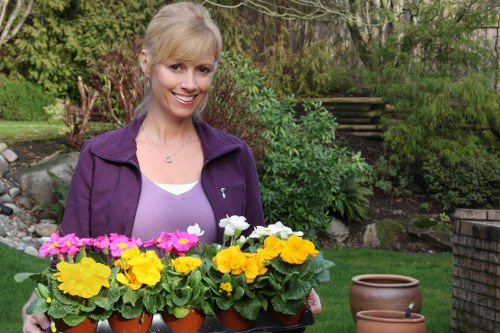 Gardeners Highgate completing a safe and careful garden service