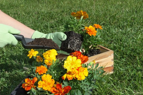 Professional lawn care service improving a Highgate property lawn