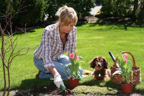 Refined landscape gardening in Highgate with hard landscaping and soft planting