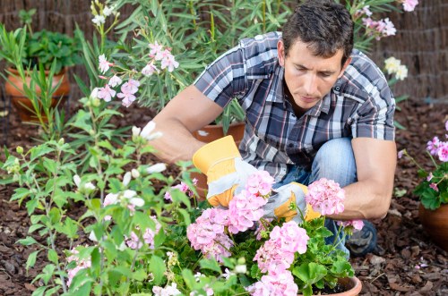 Local transfer station receiving separated garden materials