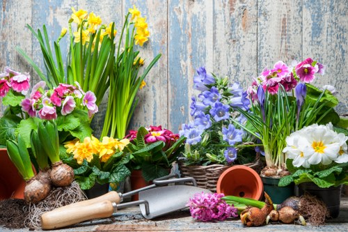 Garden restoration and planting support in Highgate