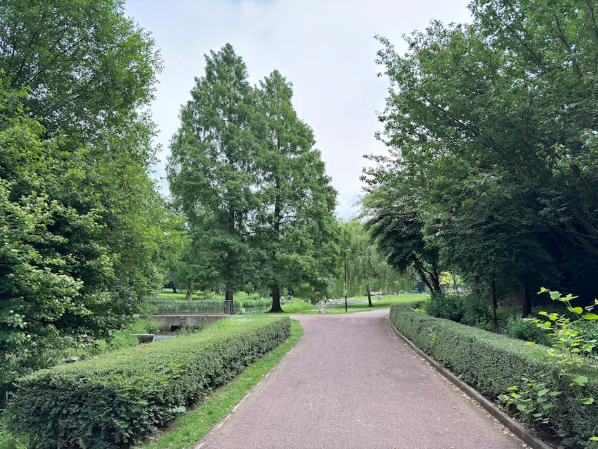 A large fallen tree with thick, textured branches and leafy foliage has collapsed across a paved parking area, blocking the space. The tree's trunk is partially cut, with visible fresh wood where sect