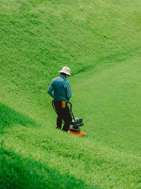 A person operating a ride-on lawn mower on a well-maintained grassy area of a garden. The lawn appears freshly cut, with visible mowing patterns creating a smooth texture. Behind the mower, a lush hed